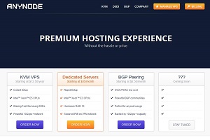 AnyNode：拉斯维加斯VPS//年/1GB内存/20GB SSD空间/2TB流量/1Gbps端口/KVM