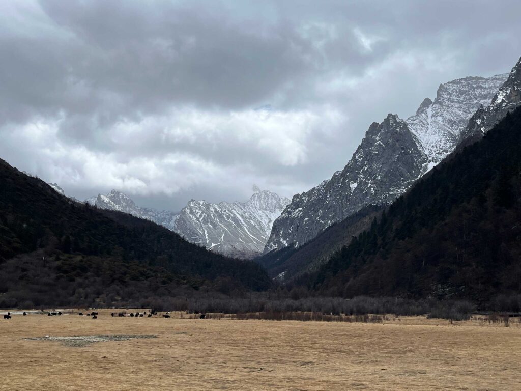 川西之行：这一路看到了四季与山川美景
